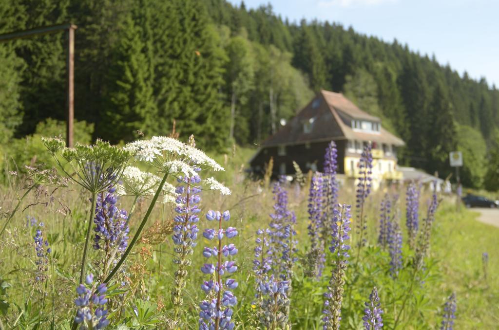 Gasthaus Hotel Loeffelschmiede Фельдберг Екстер'єр фото